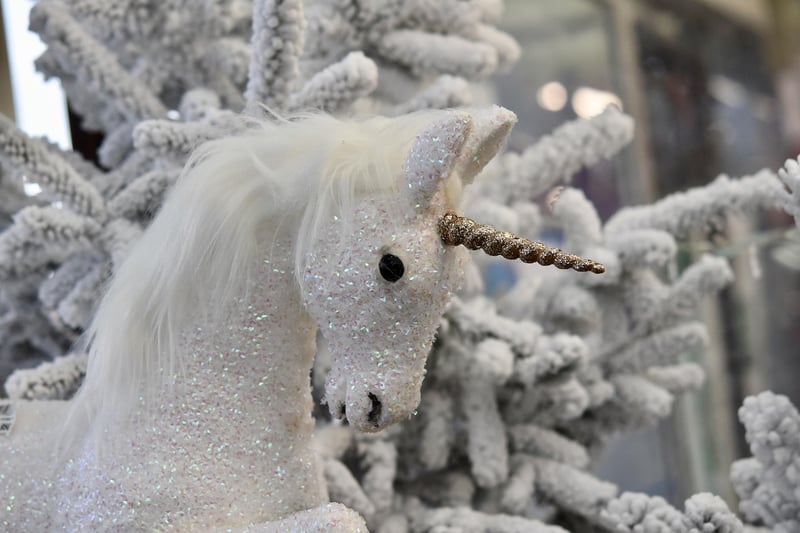 Unicorn Trekking