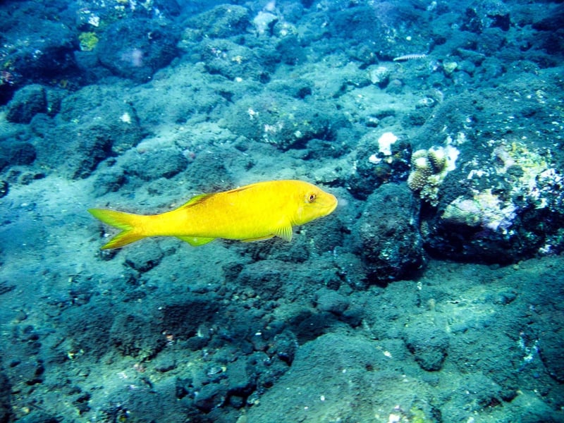 Conrad Rangali Island, Maldives